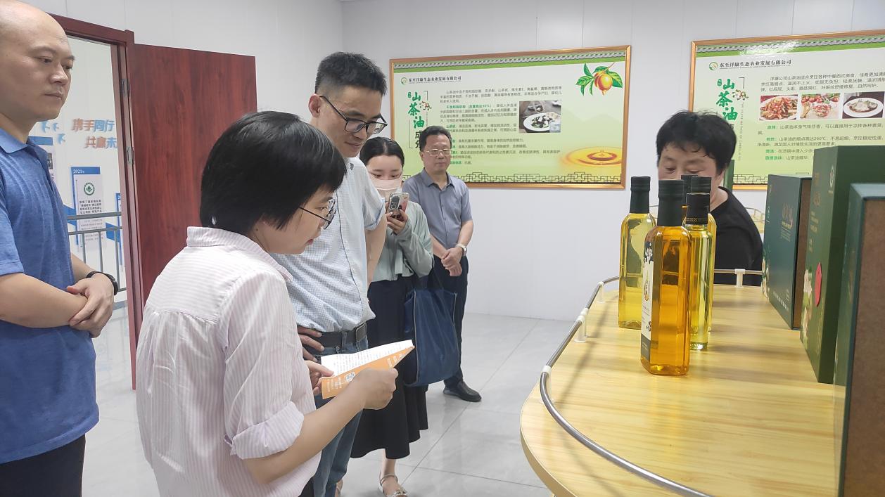 东至县洋湖镇:人大调研听民声察企情